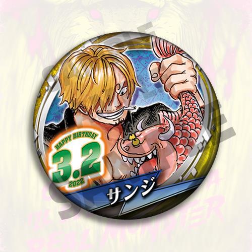 Een Stuk Anime Badge Pin Set 2 - Anime Merchandise In Chinese recensie en prijs